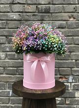 Цветочная композиция из Гипсофила и Розы в шляпной коробке #REPLACE_PRED# Пиндушах