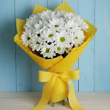 Букет цветов из:  Хризантемы в Пиндушах