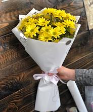Букет цветов из:  Хризантемы #REPLACE_PRED# Пиндушах