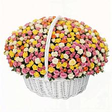 Премиум букет из: Розы в Пиндушах