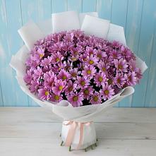 Букет цветов из:  Хризантемы в Пиндушах