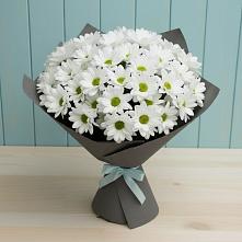 Букет цветов из:  Хризантемы #REPLACE_PRED# Пиндушах