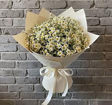 Букет цветов из:  Ромашки #REPLACE_PRED# Пиндушах