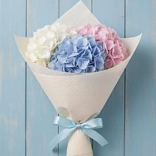 Букет цветов из:  Гортензия в Пиндушах