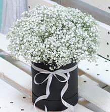 Цветочная композиция из Гипсофила в шляпной коробке #REPLACE_PRED# Пиндушах