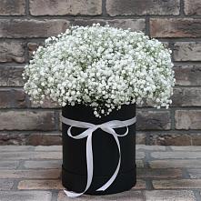 Цветочная композиция из Гипсофила в шляпной коробке в Пиндушах