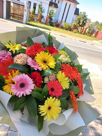 Букет цветов из: Герберы в Пиндушах