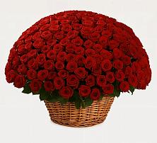 Премиум букет из: Розы #REPLACE_PRED# Пиндушах