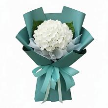 Букет цветов из:  Гортензия #REPLACE_PRED# Пиндушах